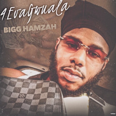 Bigg hamzah