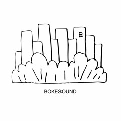 Bokesound Records