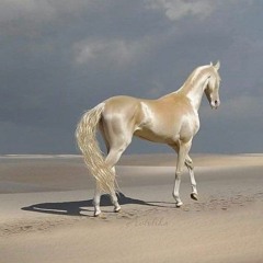 horsegirl-forever