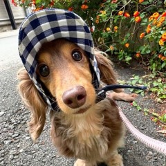 KURT GUETTO (архив)