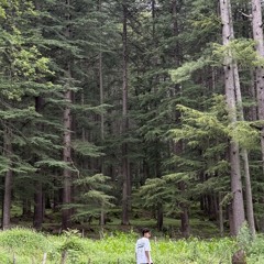 Akhil Sharma