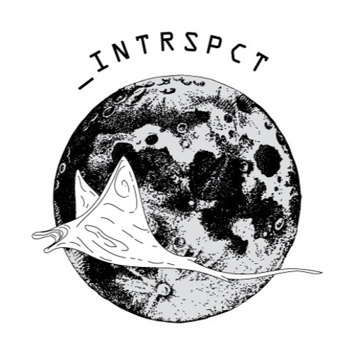 Introspections’s avatar
