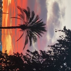 Marc_332
