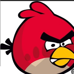 Angry Bird