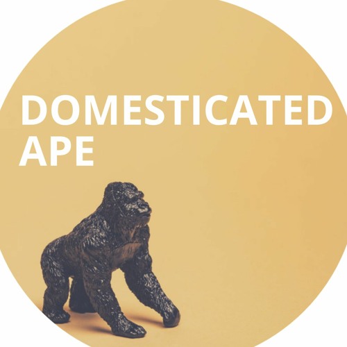 Domesticated Ape’s avatar