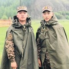 Ц. Энхтулга