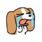 jjstar
