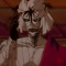 ⺌ battousai。