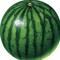 watermelon 🍉