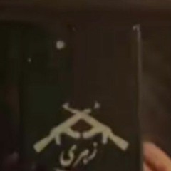 Nawabzada zehri 1
