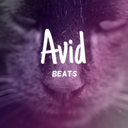 Avid Beats’s avatar
