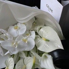 ✿︎ .