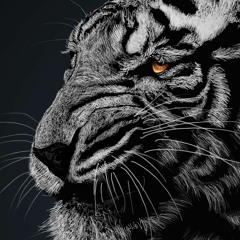 Alejandro Dux-Santoy