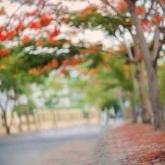 TRÁI TIM EM VÀ DÒNG MÁU NÓNG - CHO EM GẦN ANH THÊM CHÚT NỮA - NAM MILO REMIX || NHẠC HOT TIKTOK 2022