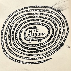 Nic Arizona