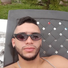 Andres Meneses