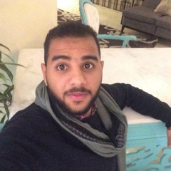 Mahmoud Rashwan