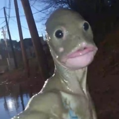 og_tapok