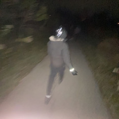 wavvyla