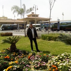 سامح الطمانى