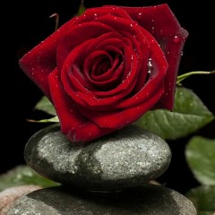 KHUSHI...RK...