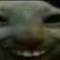 motylek