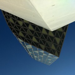 Arbolex