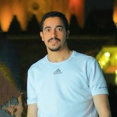 Amr Mohamed Fahmy