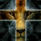 Cleiton A. Neves