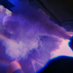 Havenboii808