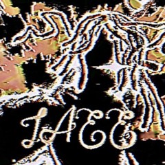 LAE