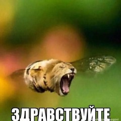 Slawpaw