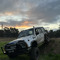 jordan_wingy