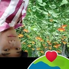 Tâm Minh Phạm
