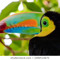 tucan101