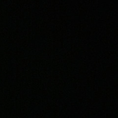 אלמוג גמרסני