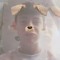 DaDo