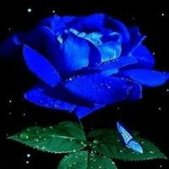 Ahmed Zuhair
