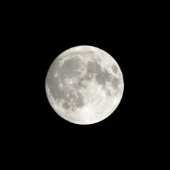 농촌의 다마고치