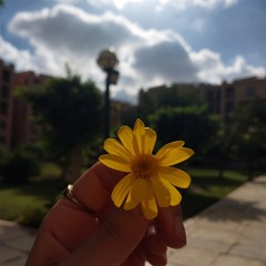 عَلْيَاء عَبْدُالغَفَّار