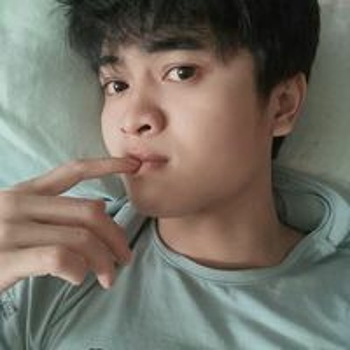 Vinh Trần’s avatar