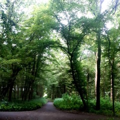 Nicole Mennemeyer ( Nicole Back)