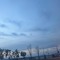 야르