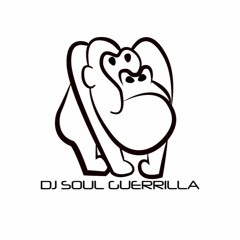 DJ Soul Guerrilla