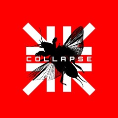 COLLAPSE CORP.