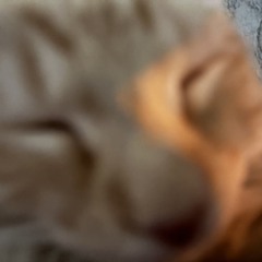 babysheeptosleep