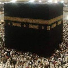 حسن محمود الشرباتي