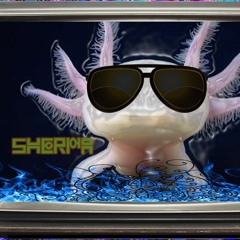 Sherpa Live Act