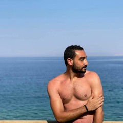 mostafa flefil