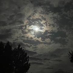 Tree of Smoke